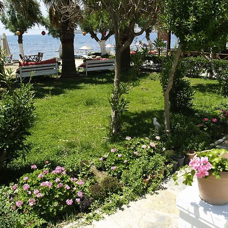 Yilmaz Hotel Ortakent Εξωτερικό φωτογραφία
