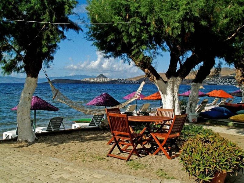 Yilmaz Hotel Ortakent Εξωτερικό φωτογραφία