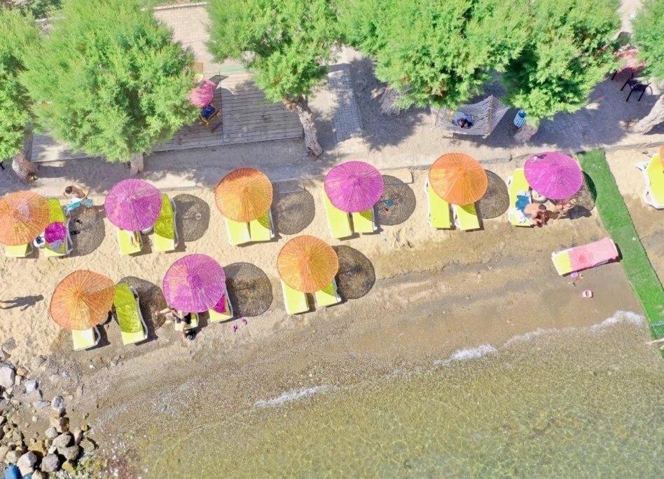 Yilmaz Hotel Ortakent Εξωτερικό φωτογραφία
