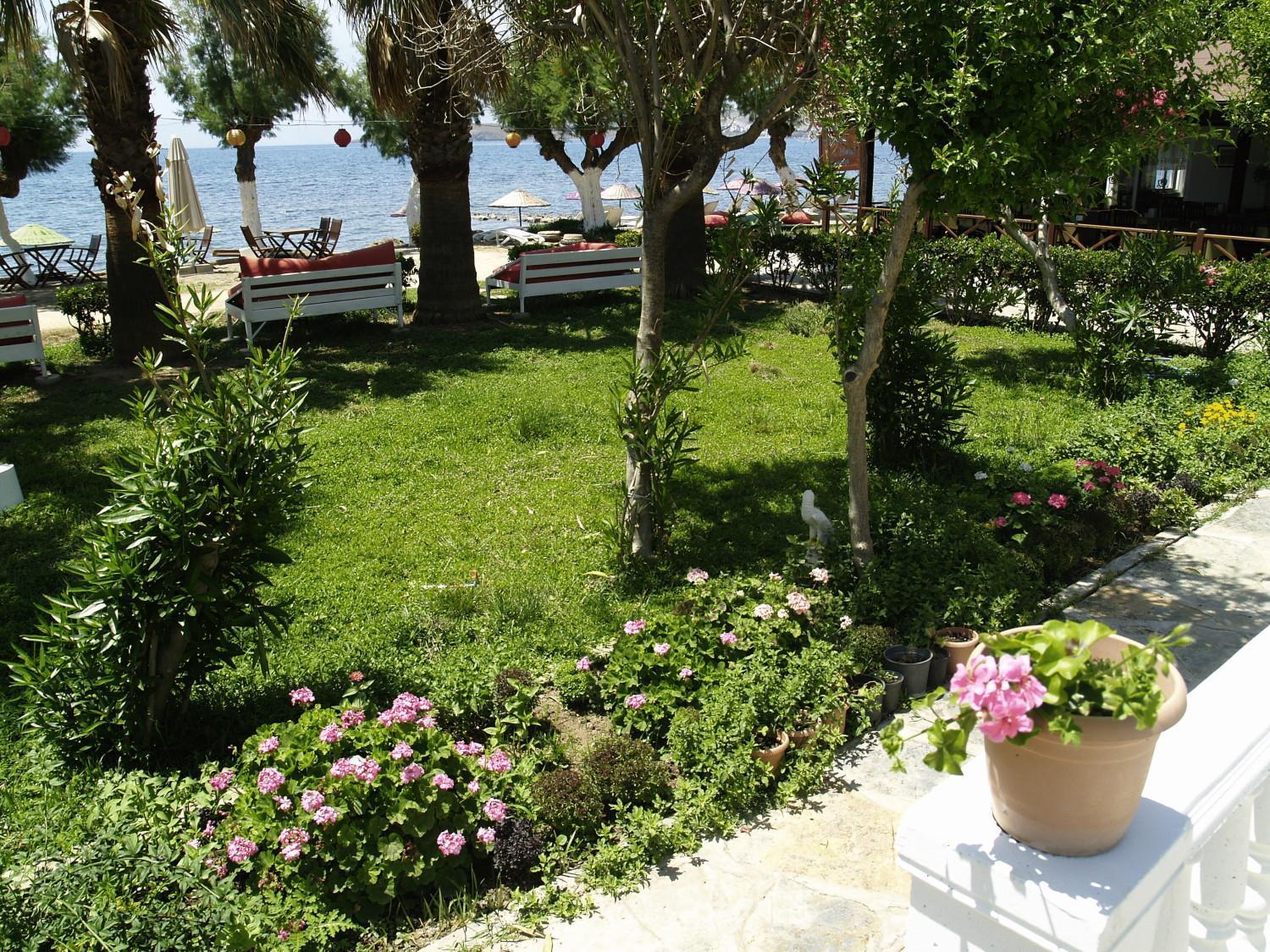 Yilmaz Hotel Ortakent Εξωτερικό φωτογραφία