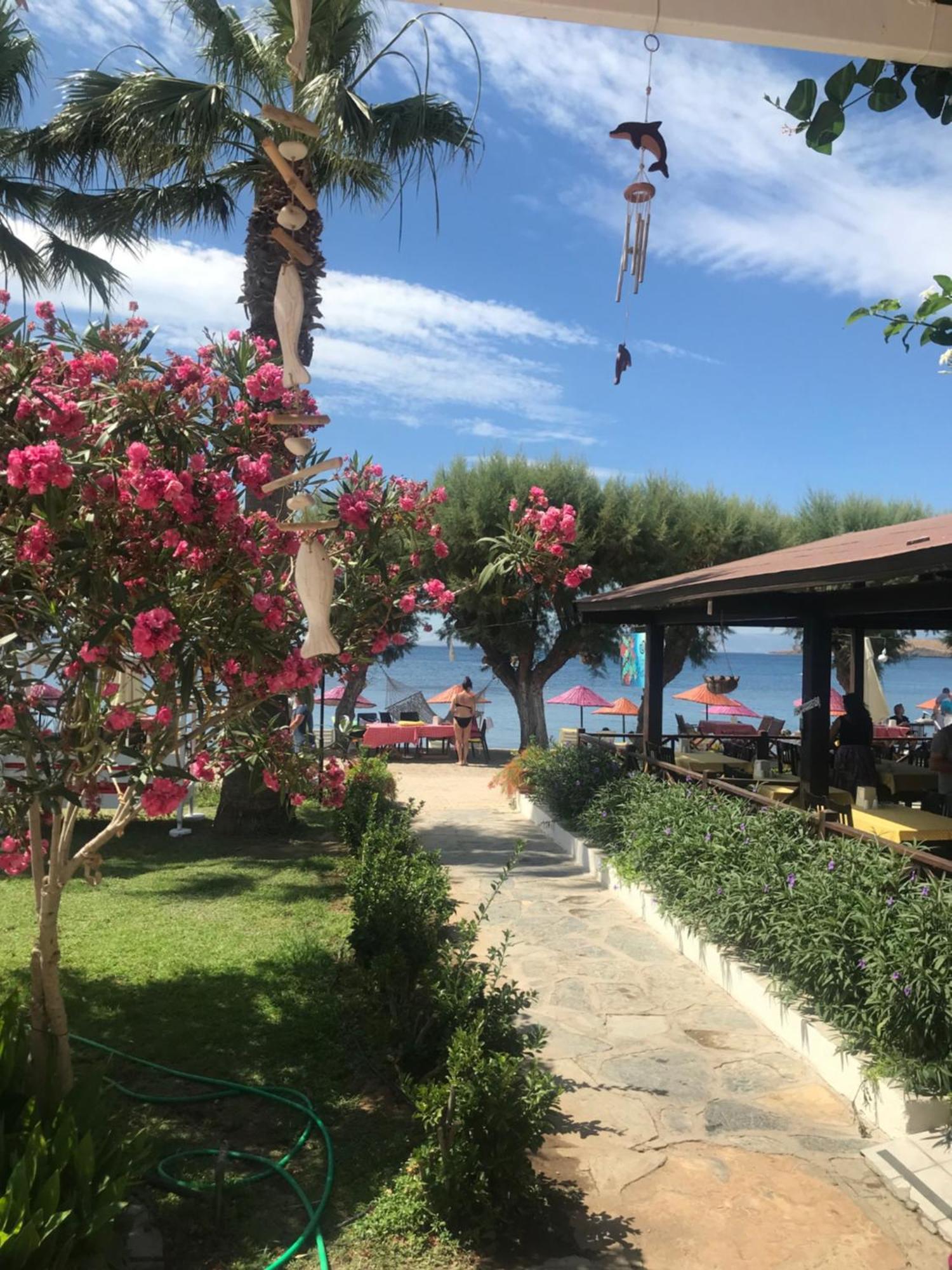 Yilmaz Hotel Ortakent Εξωτερικό φωτογραφία
