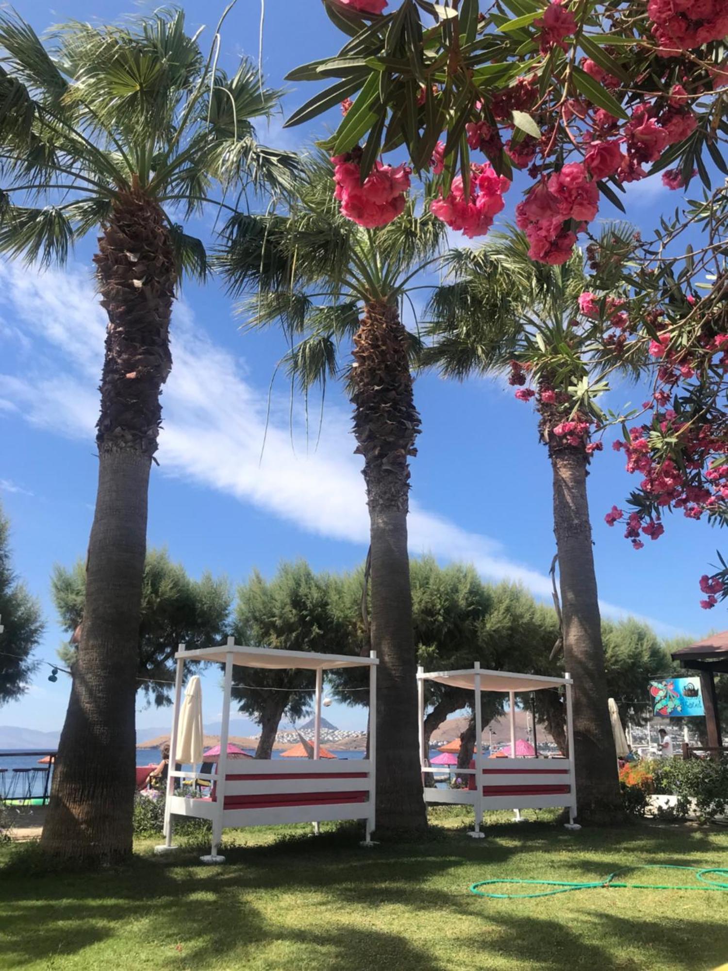 Yilmaz Hotel Ortakent Εξωτερικό φωτογραφία