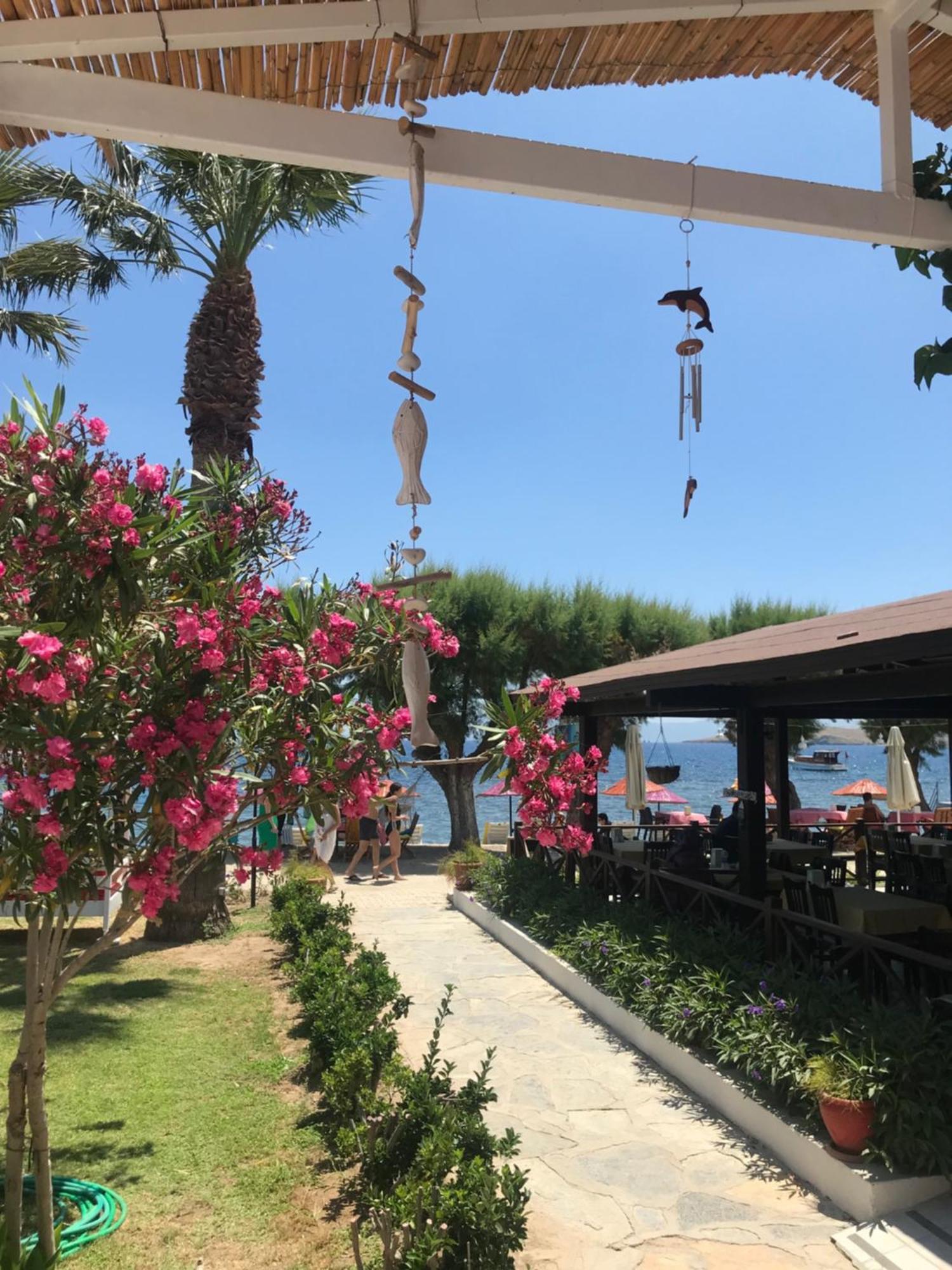 Yilmaz Hotel Ortakent Εξωτερικό φωτογραφία
