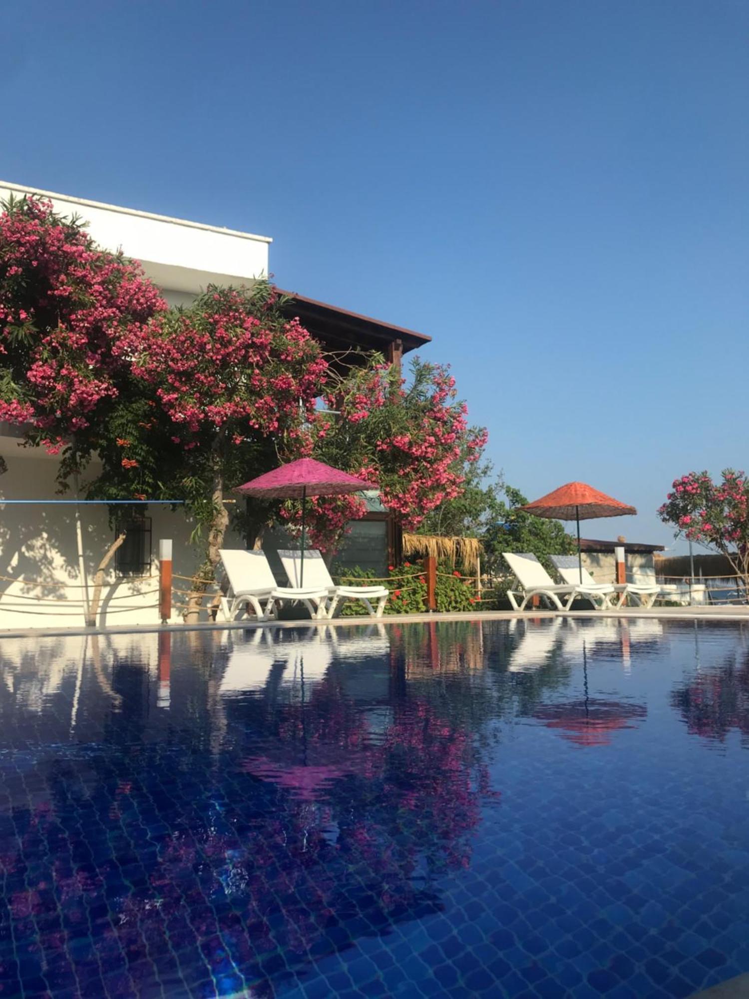 Yilmaz Hotel Ortakent Εξωτερικό φωτογραφία