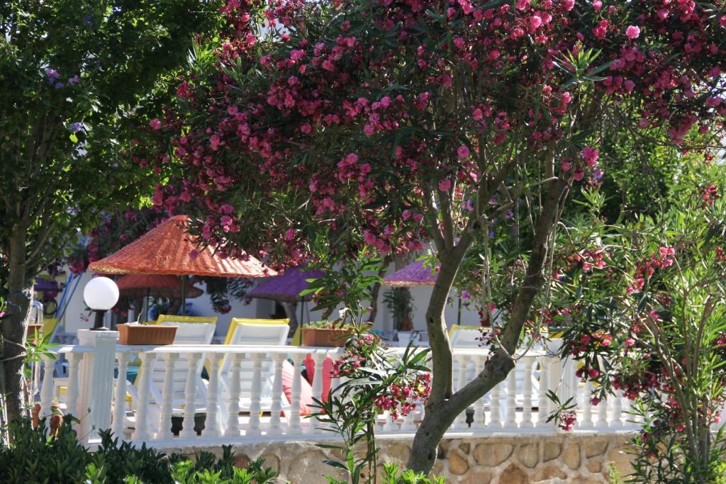 Yilmaz Hotel Ortakent Εξωτερικό φωτογραφία