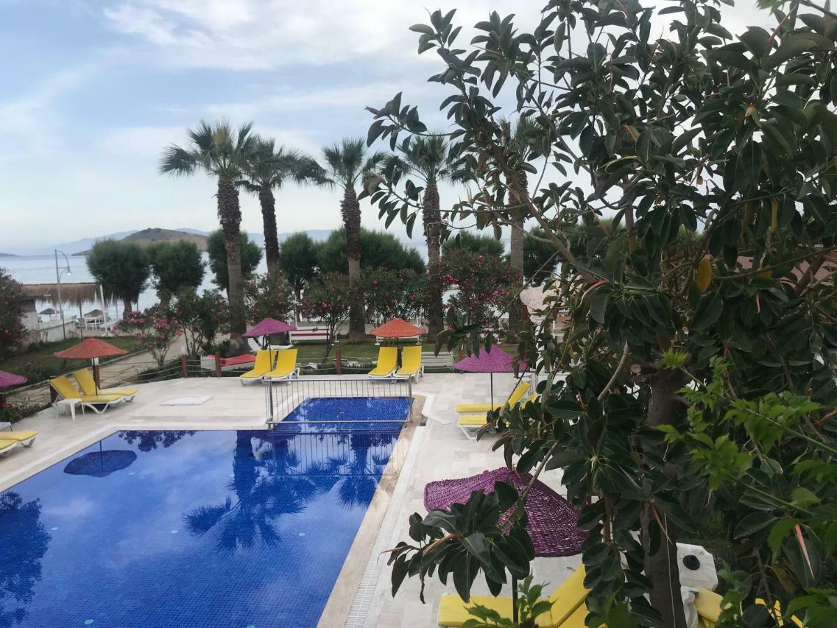Yilmaz Hotel Ortakent Εξωτερικό φωτογραφία